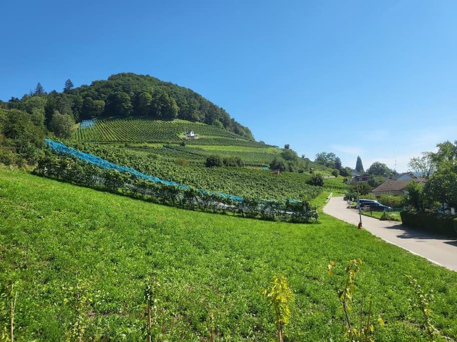 Schoene Einliegerwohnung 200M Vom Wasser Entfernt Stein Am Rhein Exterior photo